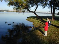 2002-11-10-Ink-Lake-Camping-12-ducks-Chance-Zen-Kalyani.JPG