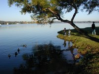 2002-11-10-Ink-Lake-Camping-13-ducks.JPG