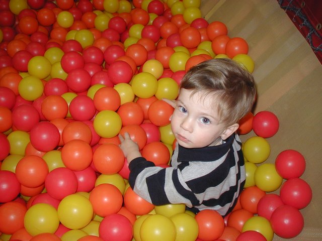 2002/12(December)/Aaron-Bday/640x480_2002-12-07-Aaron-bday-06-Dax.JPG