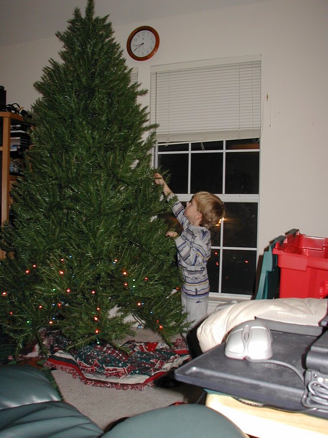 2002/12(December)/Xmas/640x480_2002-11-31-Decorating-Xmas-tree-Chance-2.JPG