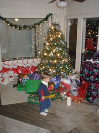 2002-12-24-Xmas-08-tree-Chance.JPG