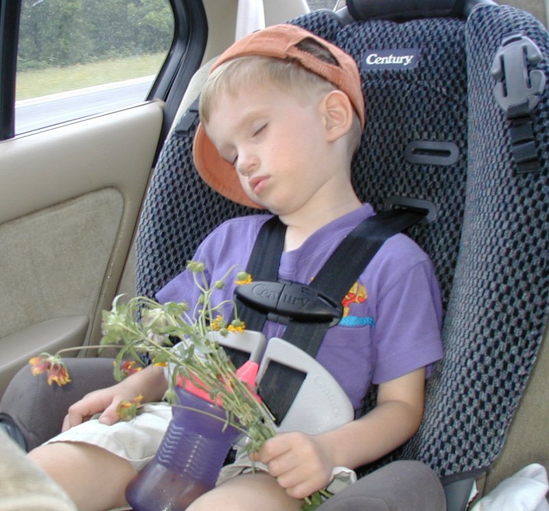 2002-05-03-Camping-Mckinney-Falls-10-Chance-sleeping-with-flowers-for-mommy.JPG