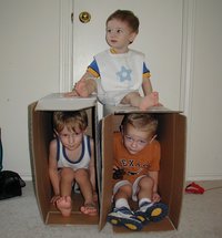 2002-07-06-5-Chance-Vale-Dax-boxes.JPG