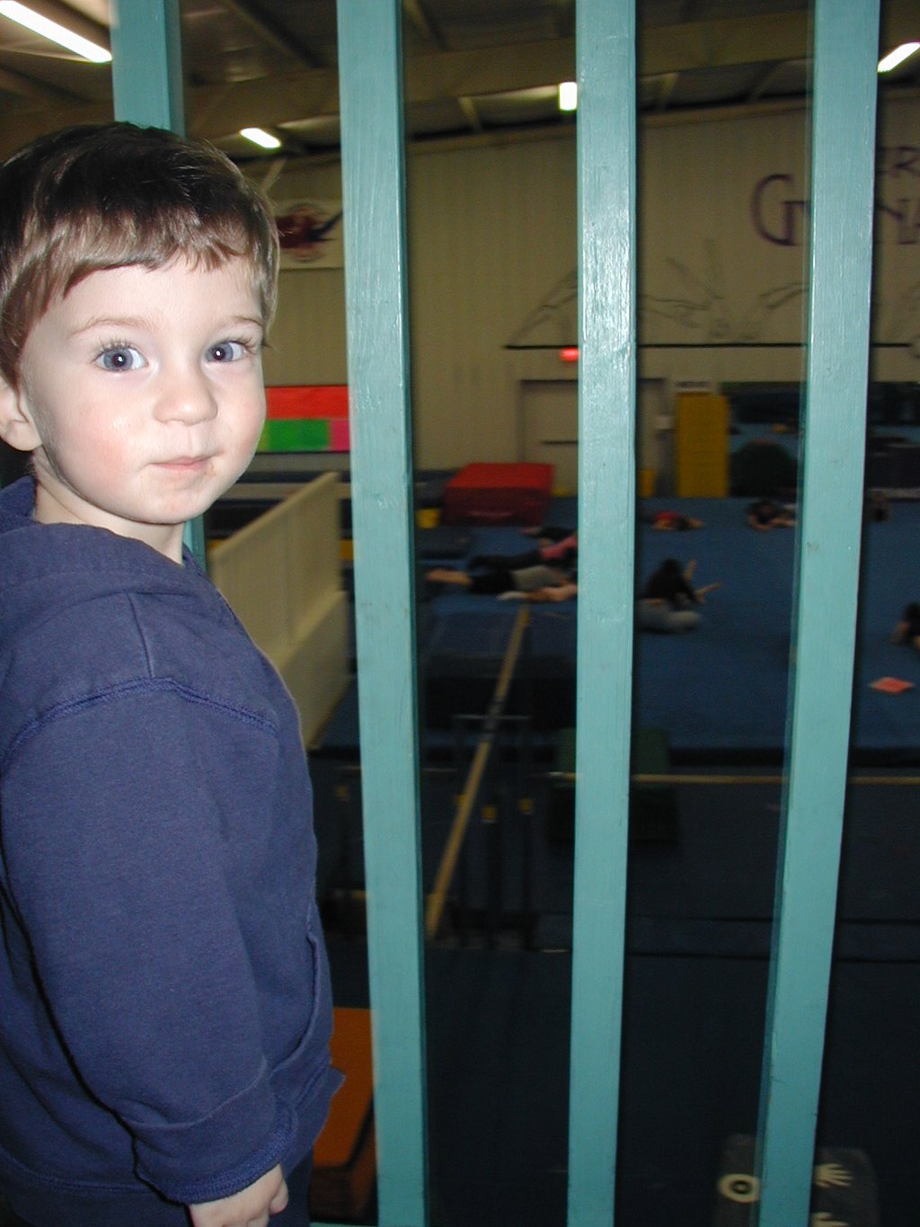 2003-02-04-Acrotex-gymnastics-05-Dax.JPG