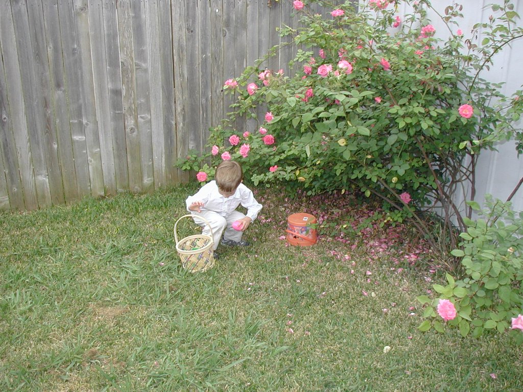 2003/04(April)/Easter/1024x768_2003-04-20-Easter-day-30-home-hunt-Chance.JPG