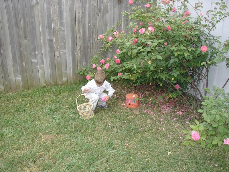 2003/04(April)/Easter/800x600_2003-04-20-Easter-day-30-home-hunt-Chance.JPG