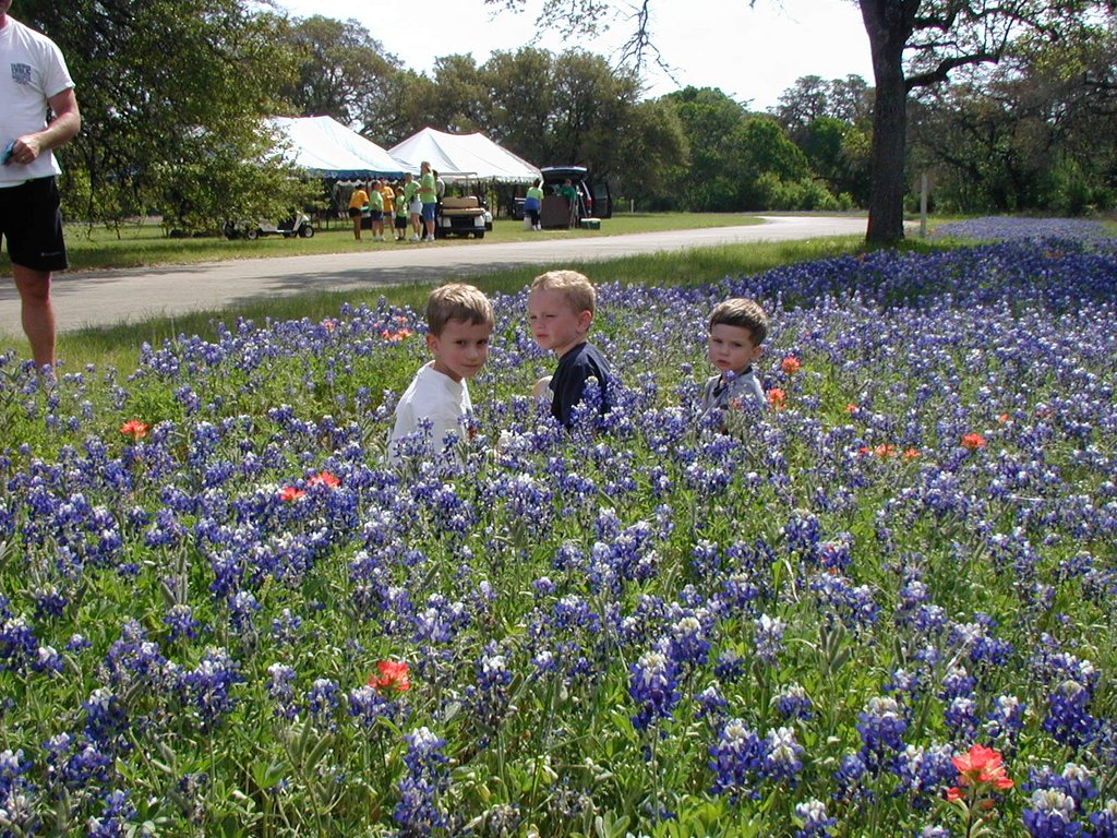 2003-04-13-Blue-Bonnets-11-Veloway-Chance-Vale-Dax.JPG