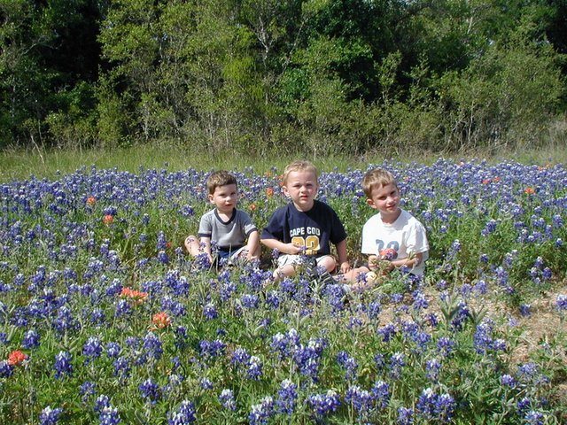2003-04-13-Blue-Bonnets-09-Veloway-Chance-Vale-Dax.JPG