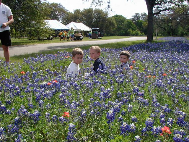 2003-04-13-Blue-Bonnets-11-Veloway-Chance-Vale-Dax.JPG
