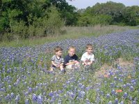 2003-04-13-Blue-Bonnets-02-Veloway-Chance-Vale-Dax.JPG