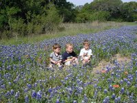 2003-04-13-Blue-Bonnets-04-Veloway-Chance-Vale-Dax.JPG