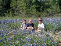 2003-04-13-Blue-Bonnets-06-Veloway-Chance-Vale-Dax.JPG