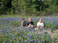 2003-04-13-Blue-Bonnets-07-Veloway-Chance-Vale-Dax.JPG