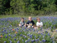 2003-04-13-Blue-Bonnets-09-Veloway-Chance-Vale-Dax.JPG