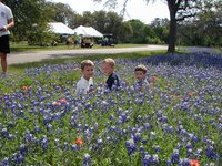 2003-04-13-Blue-Bonnets-10-Veloway-Chance-Vale-Dax.JPG
