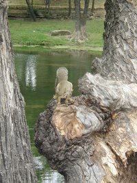 2003-05-04-Zane-Bday-11-squirrel.JPG