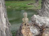 2003-05-04-Zane-Bday-13-squirrel.JPG