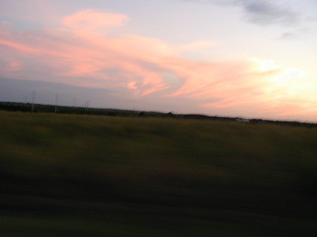 P9010078.JPG