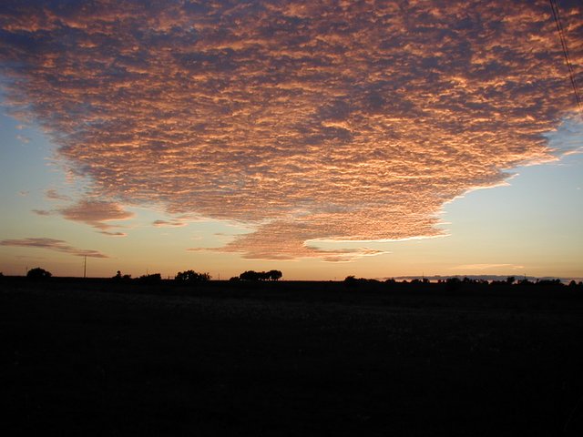 P9010065.JPG