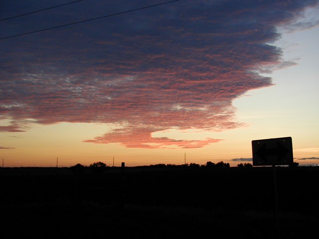 P9010077.JPG