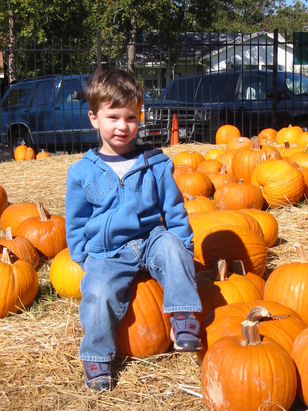 2003/10(October)/PumpkinPatch/1024x768_2003-10-27-Pumpkin-Patch-11-Dax.JPG