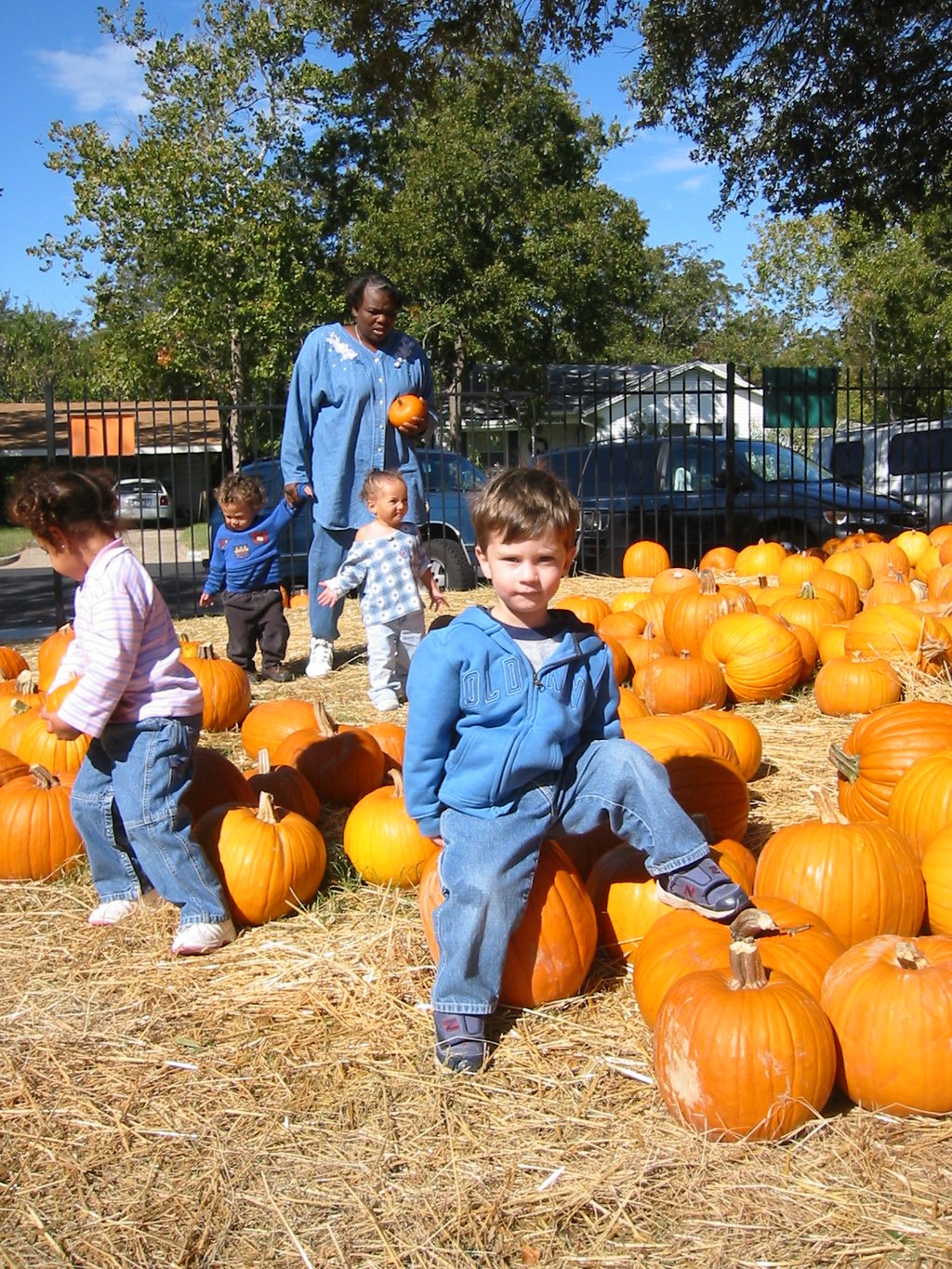 2003/10(October)/PumpkinPatch/1024x768_2003-10-27-Pumpkin-Patch-8-Dax.JPG