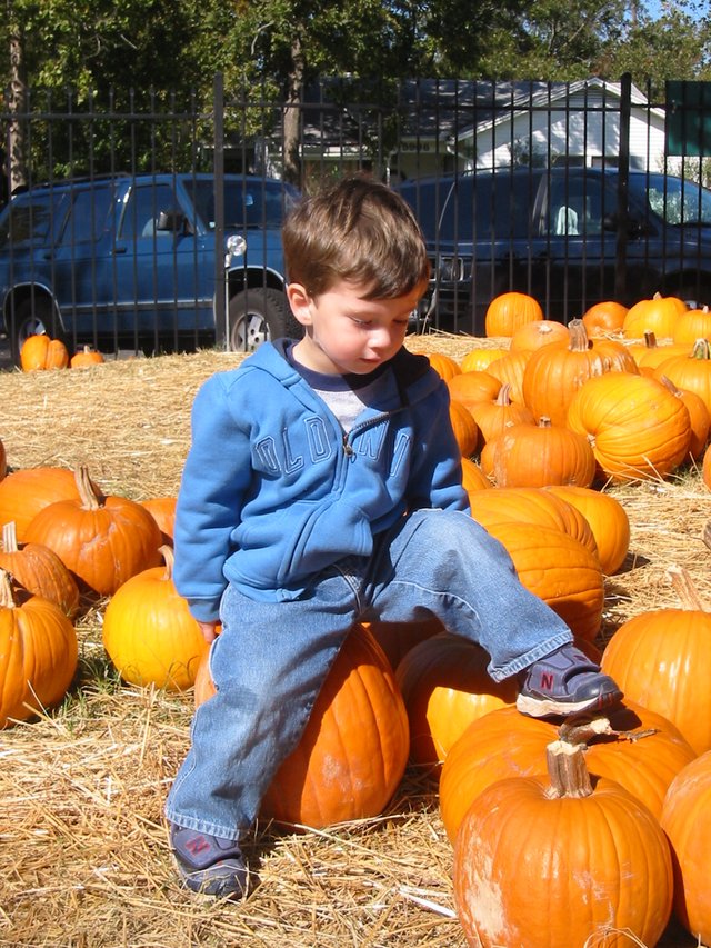 2003/10(October)/PumpkinPatch/640x480_2003-10-27-Pumpkin-Patch-10-Dax.JPG