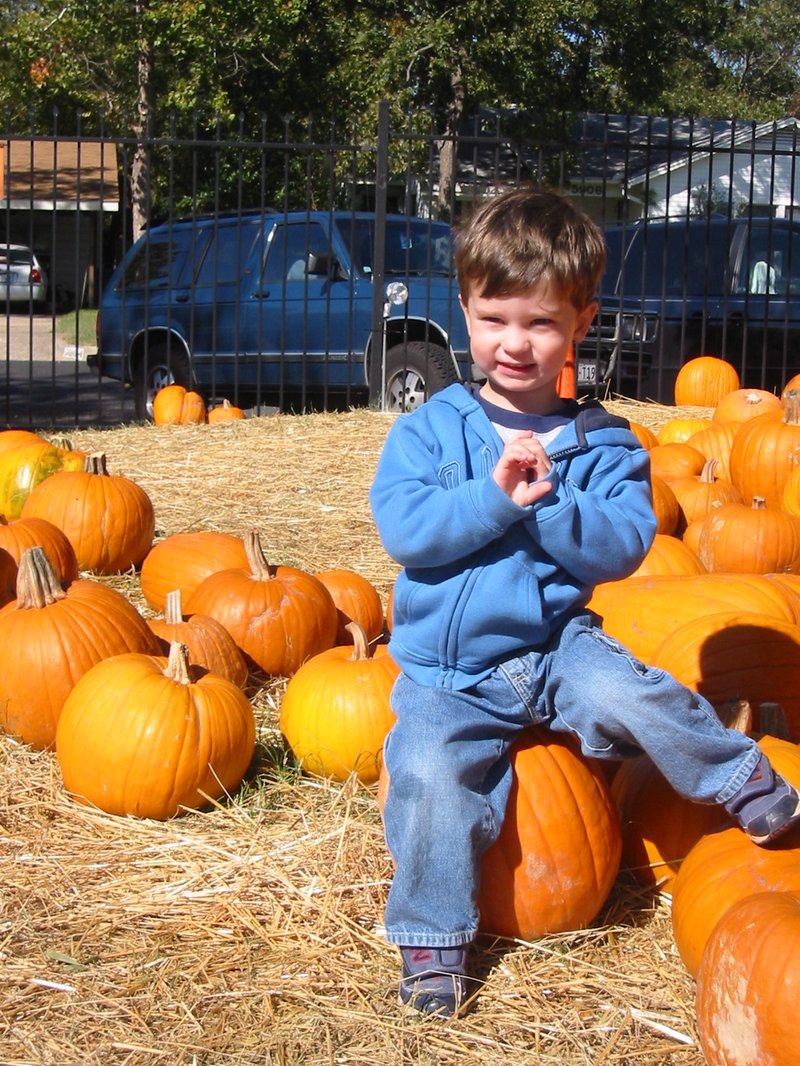 2003/10(October)/PumpkinPatch/800x600_2003-10-27-Pumpkin-Patch-9-Dax.JPG