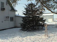 2003-11-08-Scott-Farm-08.JPG