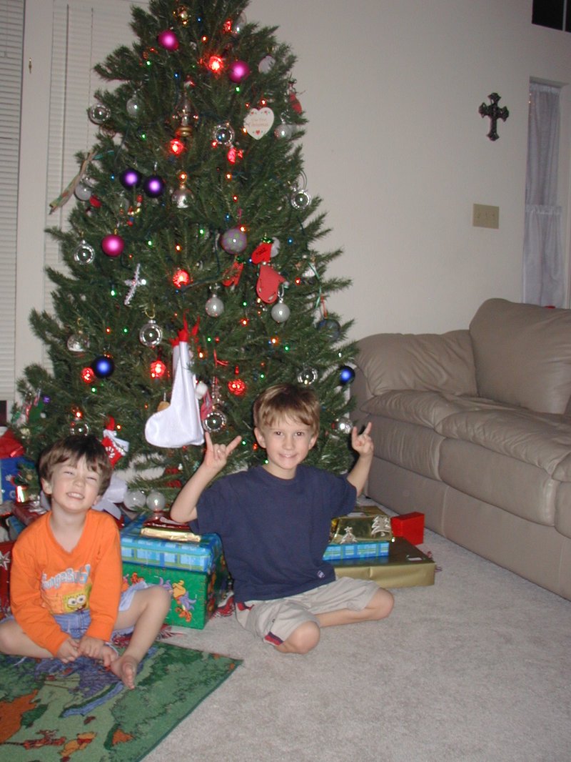 2003/12(December)/Misc/800x600_2003-12-22-Chance-Dax-Xmas-Tree-2.JPG