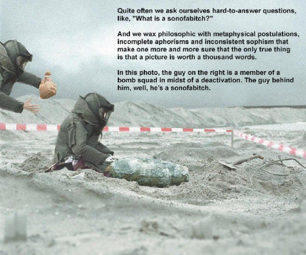 2003/Jokes/1024x768_SOB.jpg