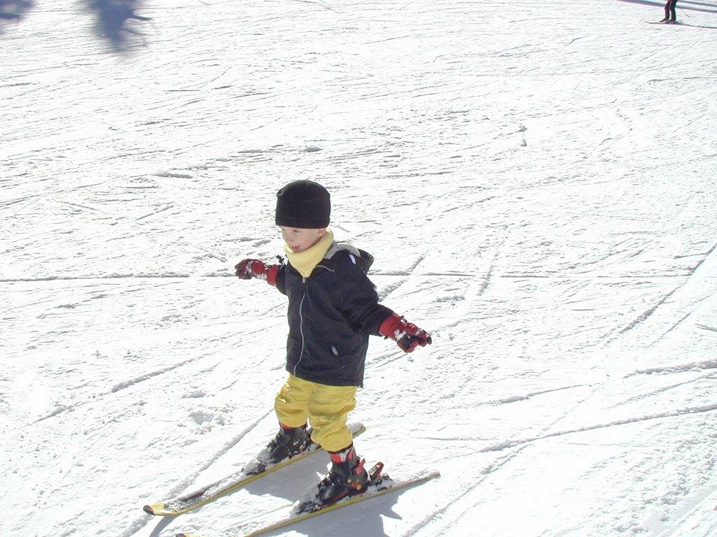 2004/01(January)/Ruidoso/1024x768_2004-01-19-Ruidoso-09-Chance-skiing.JPG