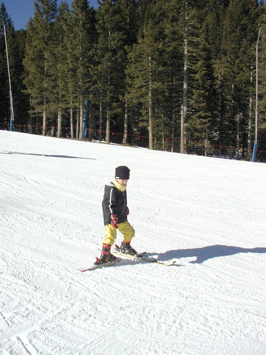 2004/01(January)/Ruidoso/1024x768_2004-01-19-Ruidoso-12-Chance-skiing.JPG