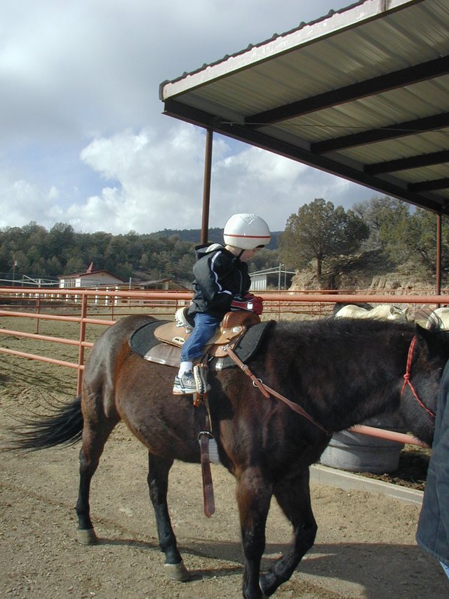 2004/01(January)/Ruidoso/640x480_2004-01-21-Ruidoso-06-horseback-riding-Chance.JPG