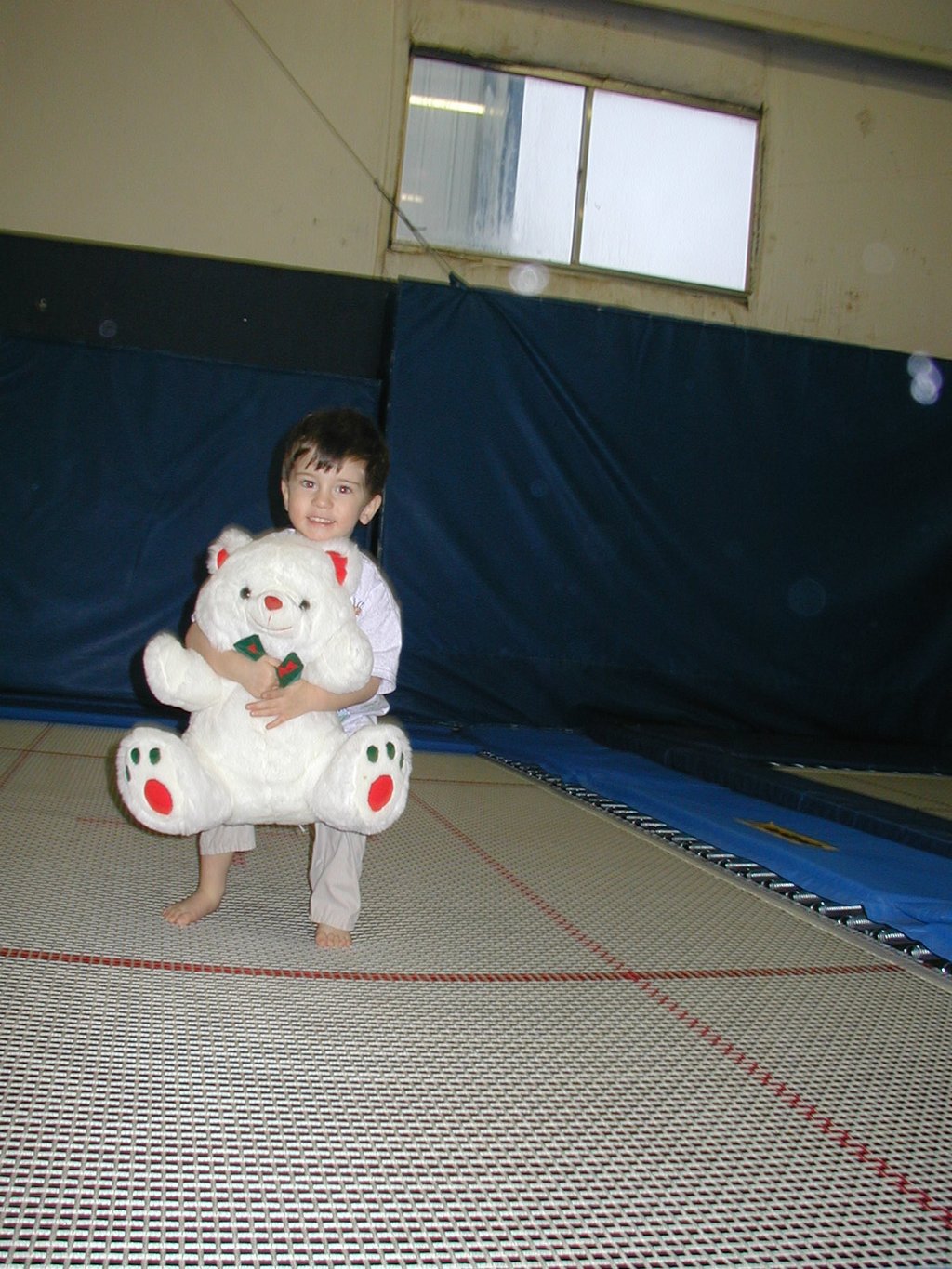 2004/02(February)/Gymnastics/1024x768_2004-02-10-Gynmastics-01-Dax.JPG