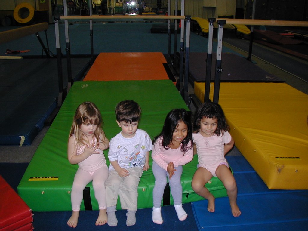 2004/02(February)/Gymnastics/1024x768_2004-02-10-Gynmastics-12-Dax.JPG