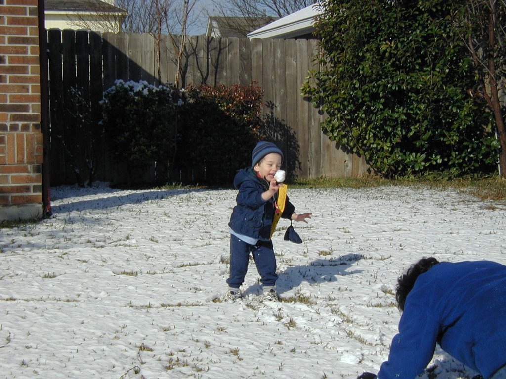 2004/02(February)/Snow-in-Austin/1024x768_2004-02-14-Snow-in-Austin-18-Dax.JPG
