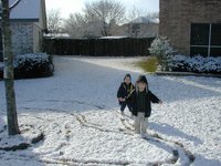 2004-02-14-Snow-in-Austin-13-Chance-Dax.JPG