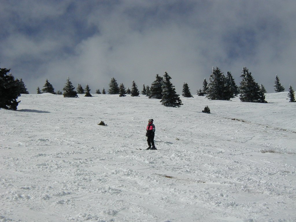 2004/03(March)/Ruidoso/1024x768_2004-03-13-Ruidoso-09-Ren.JPG