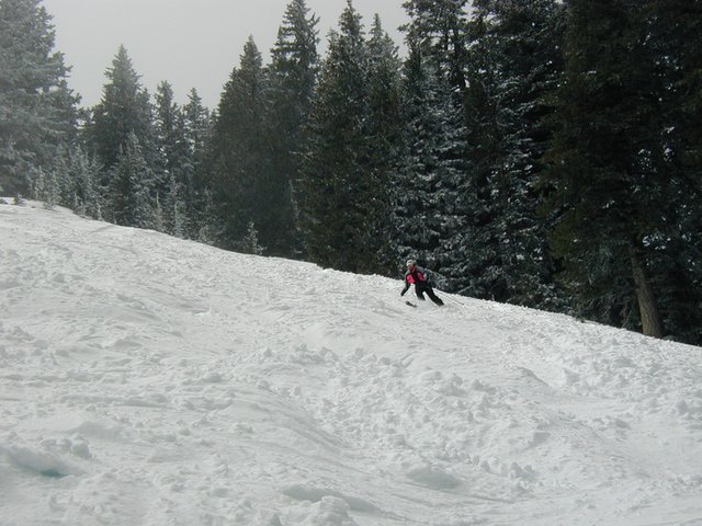 2004/03(March)/Ruidoso/640x480_2004-03-13-Ruidoso-01-Ren.JPG