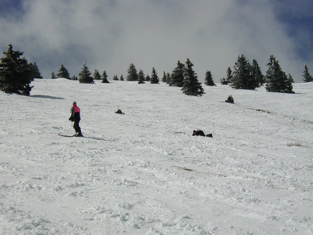 2004/03(March)/Ruidoso/640x480_2004-03-13-Ruidoso-10-Ren-Marci-crashed.JPG