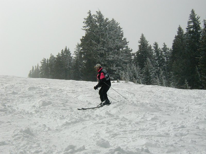 2004/03(March)/Ruidoso/800x600_2004-03-13-Ruidoso-03-Ren.JPG