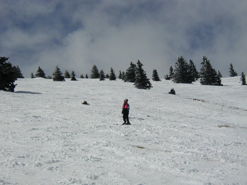 2004/03(March)/Ruidoso/800x600_2004-03-13-Ruidoso-09-Ren.JPG