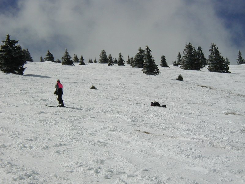 2004/03(March)/Ruidoso/800x600_2004-03-13-Ruidoso-10-Ren-Marci-crashed.JPG