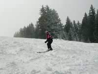 2004-03-13-Ruidoso-03-Ren.JPG
