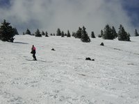 2004-03-13-Ruidoso-10-Ren-Marci-crashed.JPG