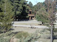 2004-03-16-Ruidoso-29-deer.JPG