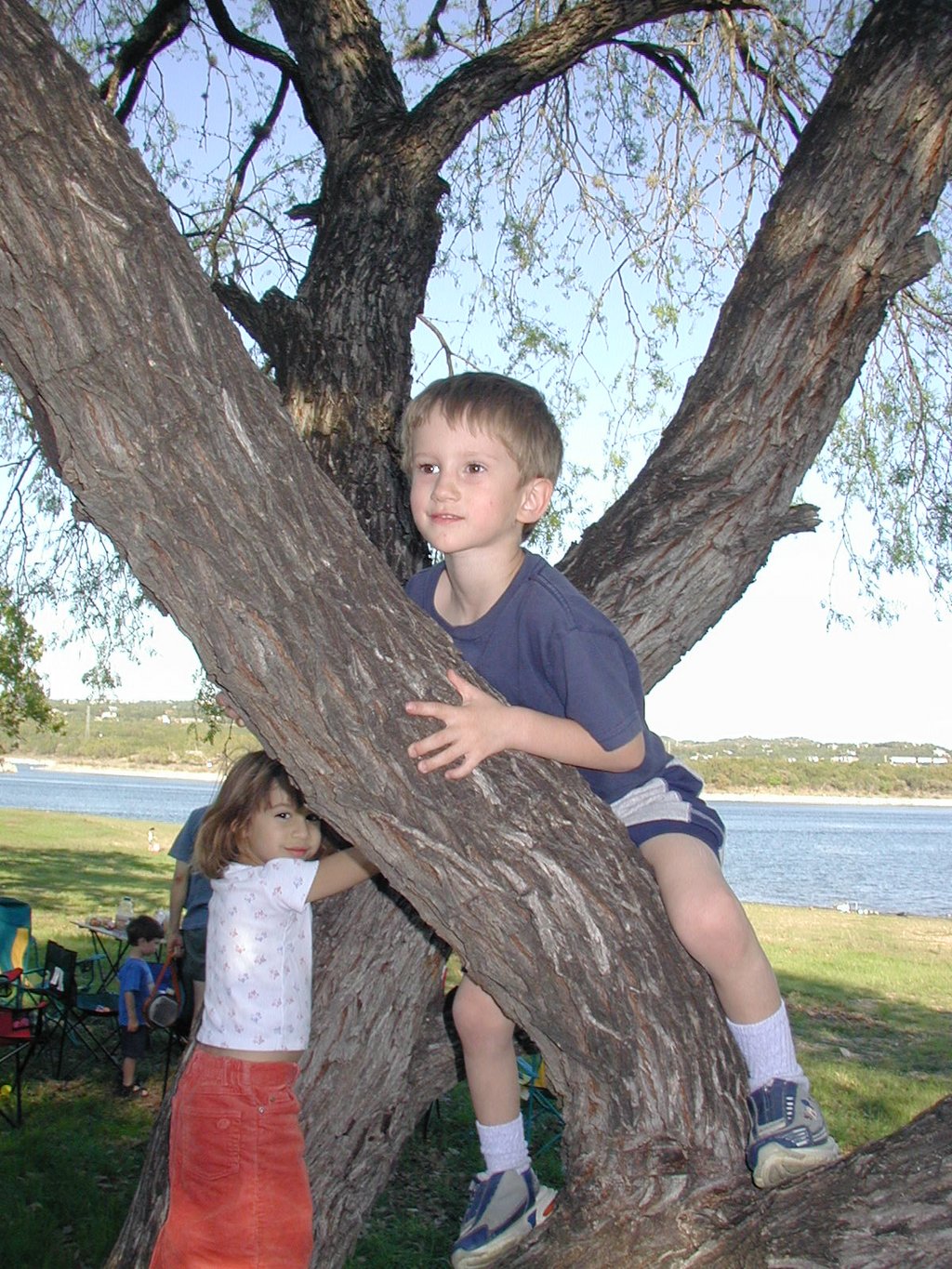2004/04(April)/Camping-Pace-Bend/1024x768_2004-04-03-Camping-Pace-Bend-45-Kalyani-Chance-climbing-tree.JPG