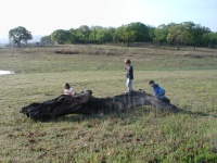 2004/04(April)/Camping-Pace-Bend/2004-04-03-Camping-Pace-Bend-01-Kalyani-Chance-Dax.JPG
