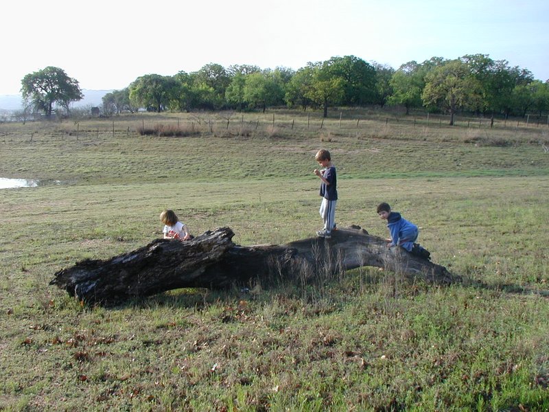 2004/04(April)/Camping-Pace-Bend/2004-04-03-Camping-Pace-Bend-01-Kalyani-Chance-Dax.JPG